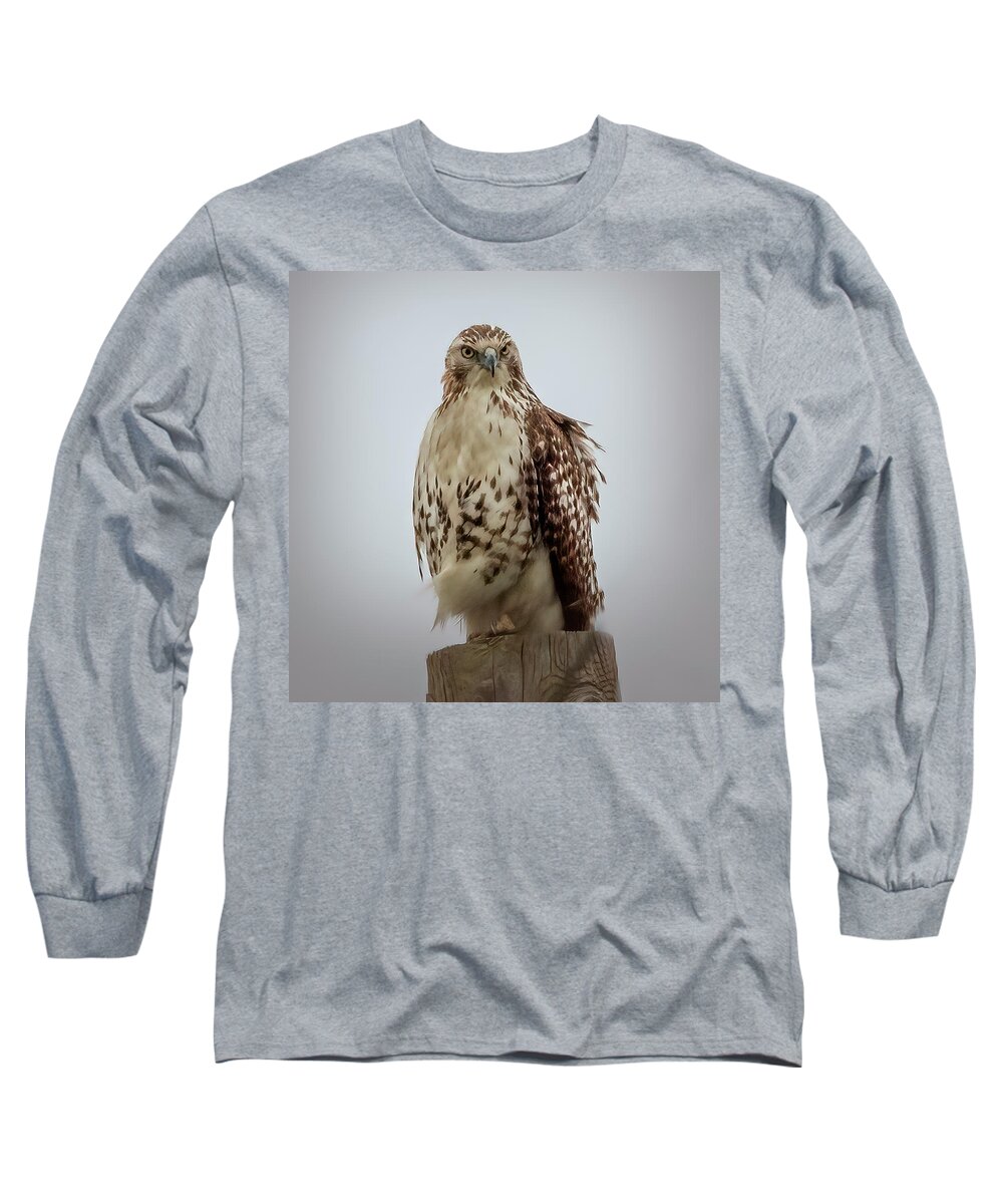 Nature Long Sleeve T-Shirt featuring the photograph Red Tailed Hawk by JASawyer Imaging