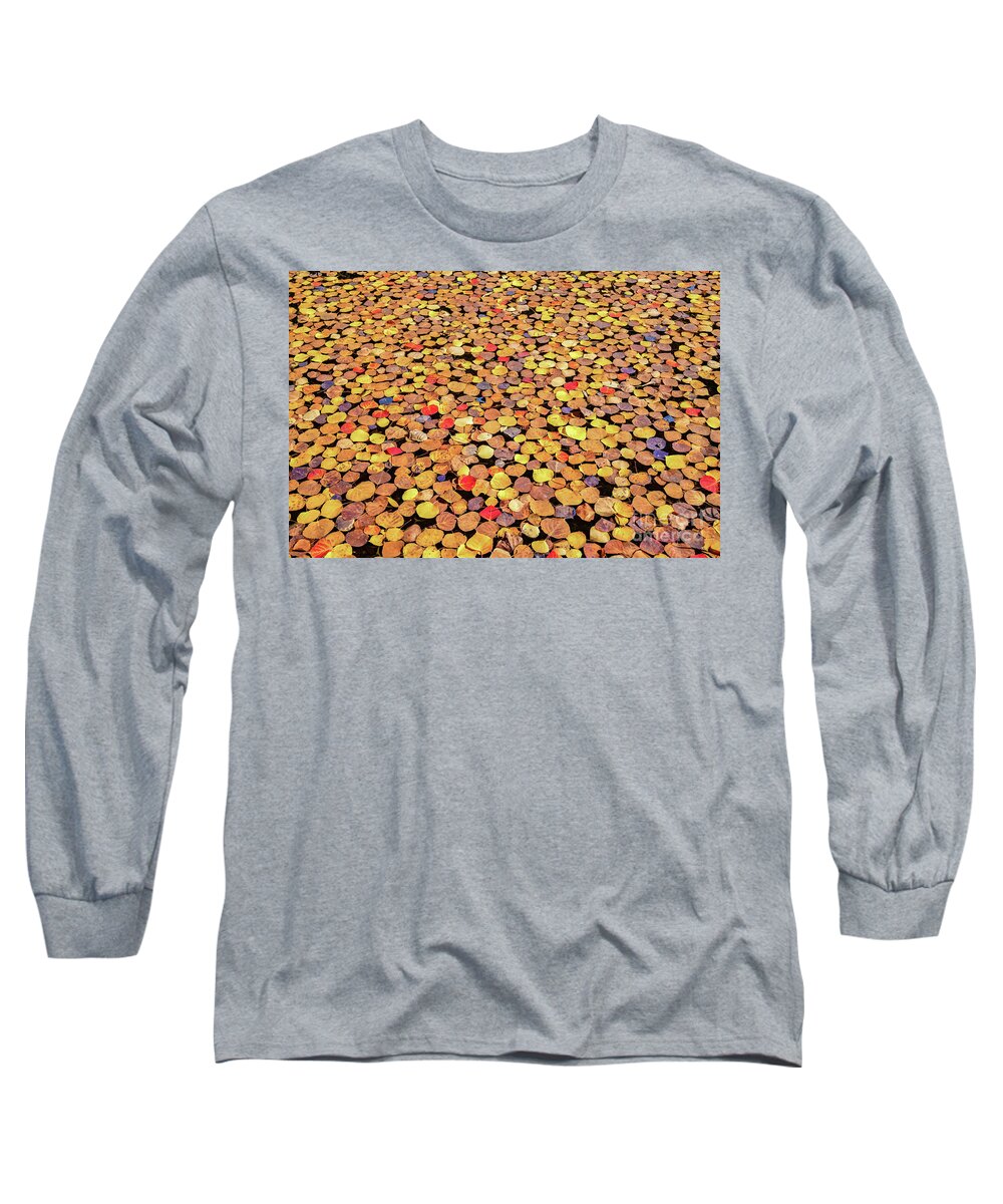 Leaves Long Sleeve T-Shirt featuring the photograph Sea of Leaves by Melissa Lipton