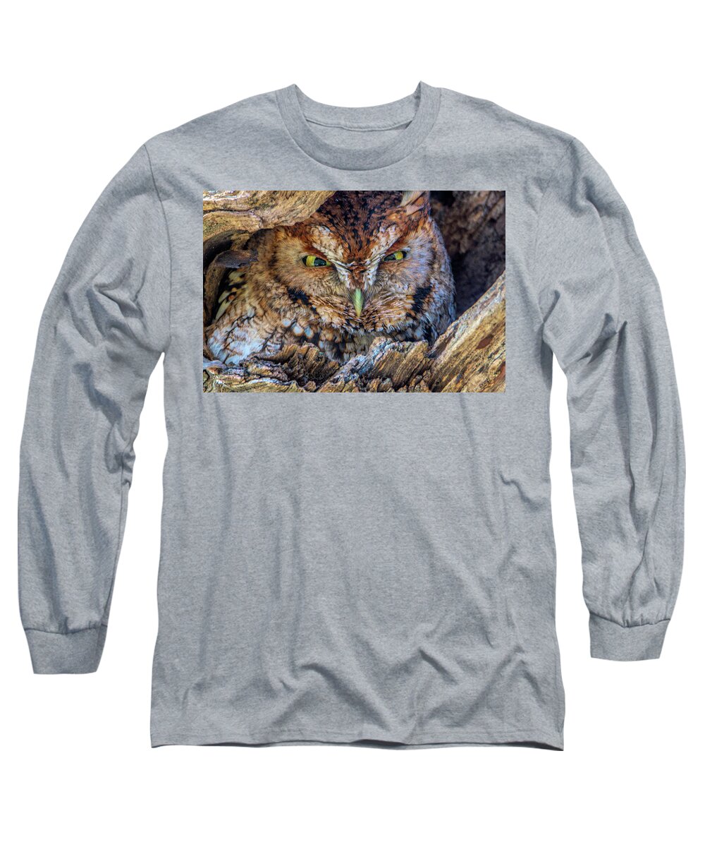 Eastern Screech Owl Long Sleeve T-Shirt featuring the photograph Shy Screech Owl by Douglas Wielfaert