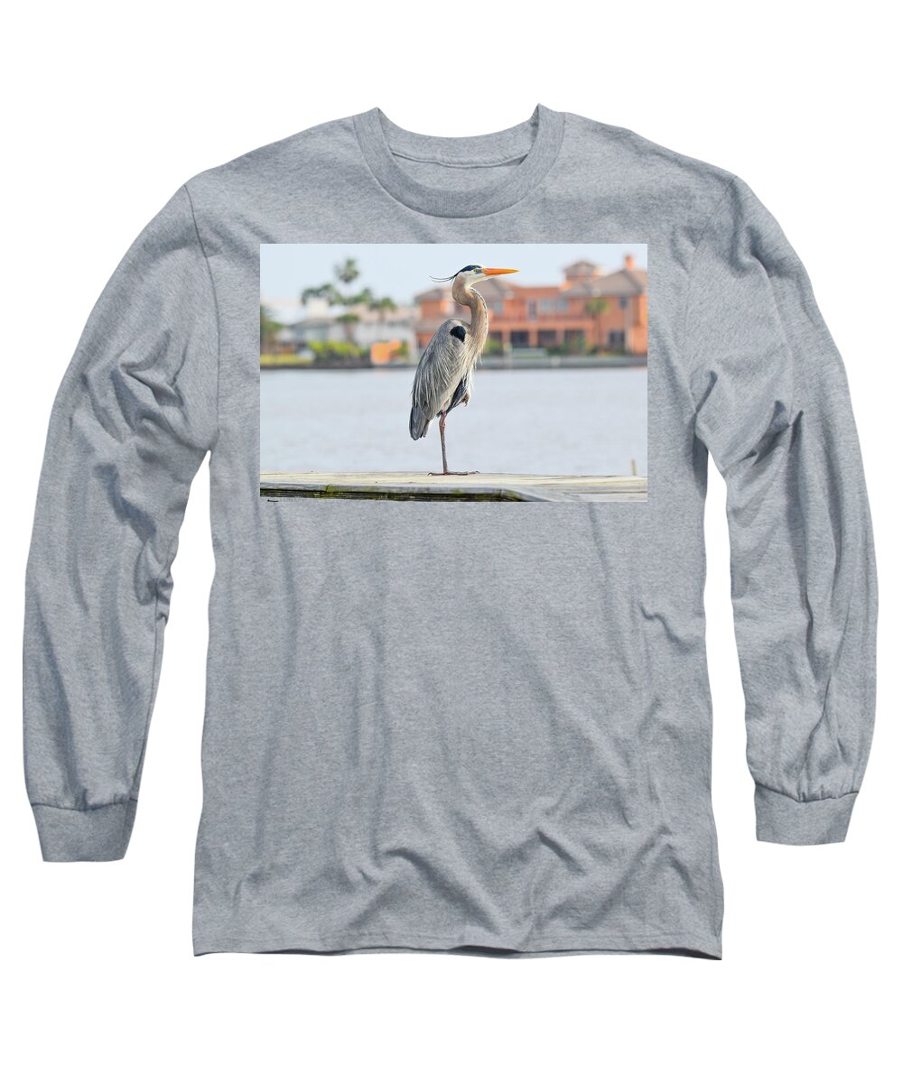 Heron Long Sleeve T-Shirt featuring the photograph Soaking up the Sun by Christopher Rice