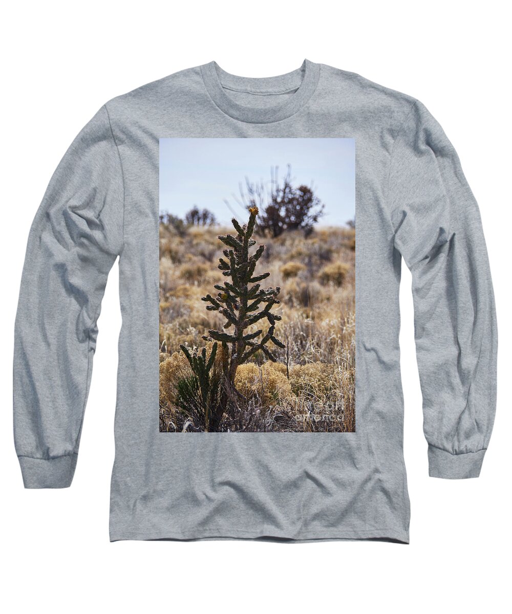 New Mexico Desert Long Sleeve T-Shirt featuring the photograph Southwest Desert Scene by Robert WK Clark