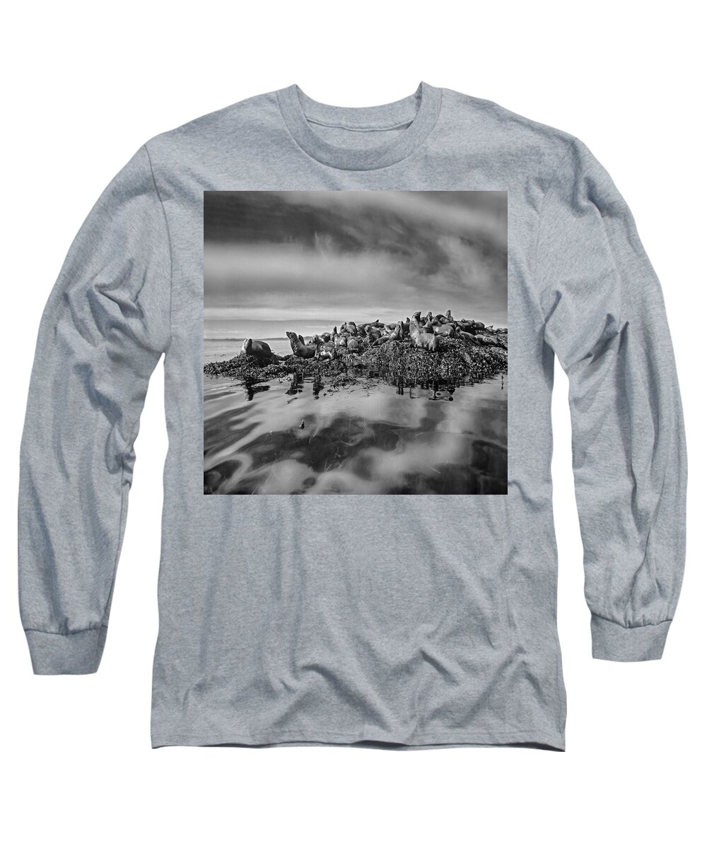 Disk1216 Long Sleeve T-Shirt featuring the photograph Steller's Sea Lions, Alaska by Tim Fitzharris
