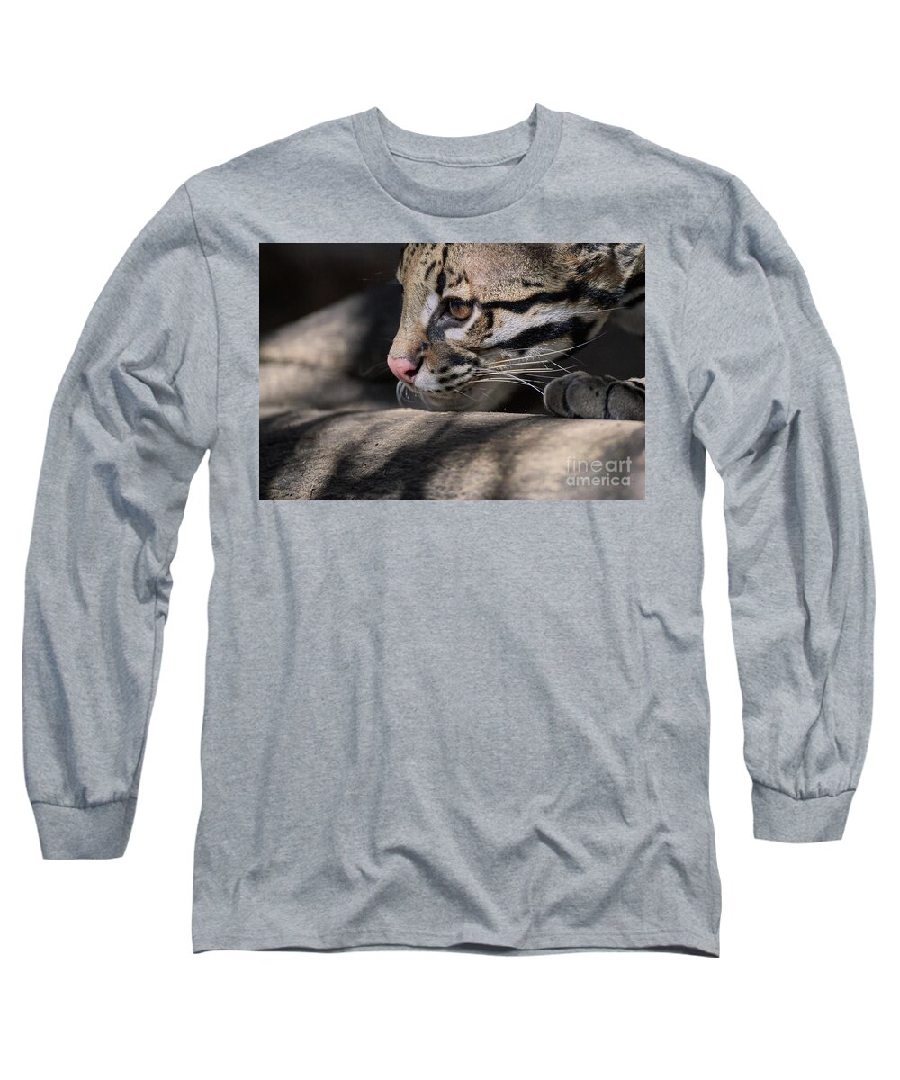 Cat Long Sleeve T-Shirt featuring the photograph Studying by Robert WK Clark