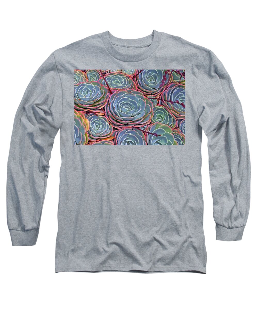 Plants Long Sleeve T-Shirt featuring the photograph Suculents by Anthony Jones