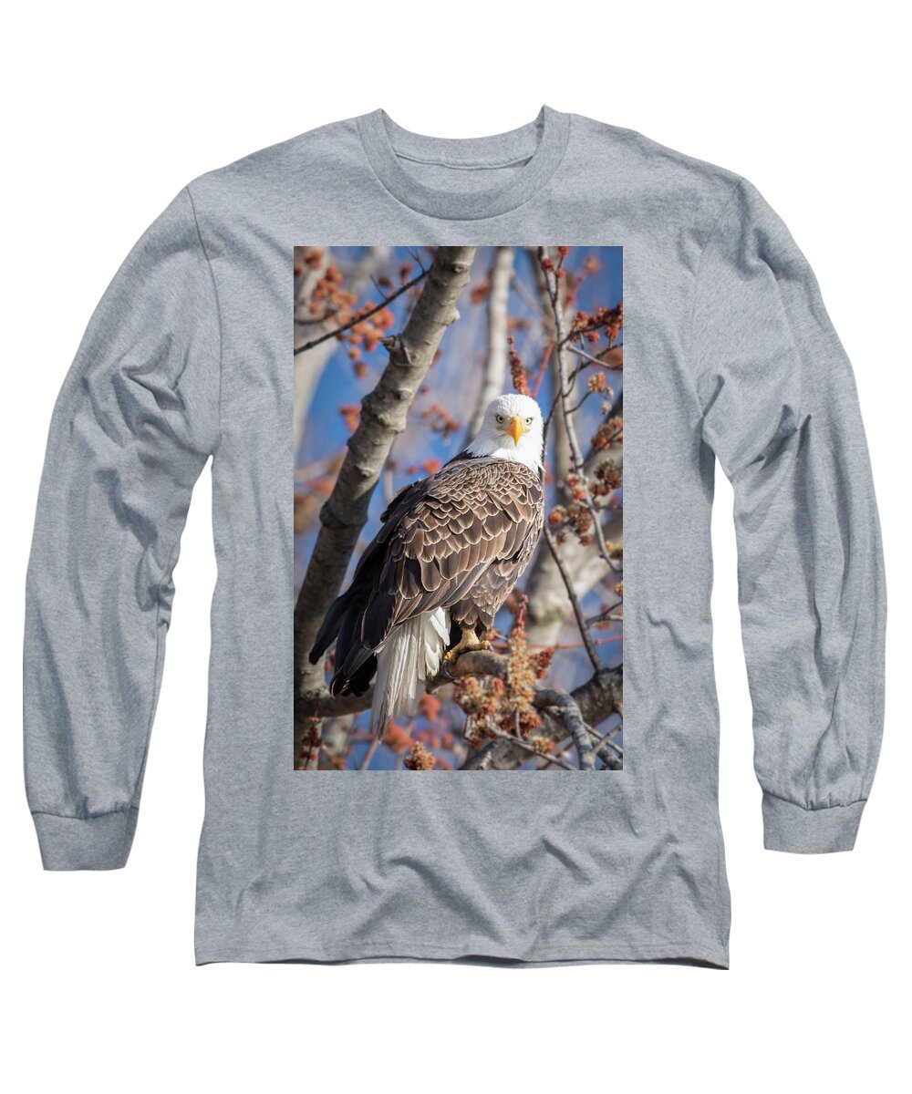Bald Eagle Long Sleeve T-Shirt featuring the photograph The Eyes by Laura Hedien
