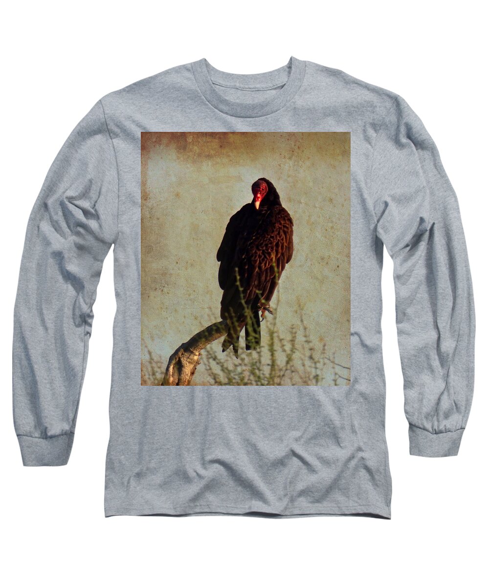 Arizona Long Sleeve T-Shirt featuring the photograph Turkey Vulture Vintage by Judy Kennedy