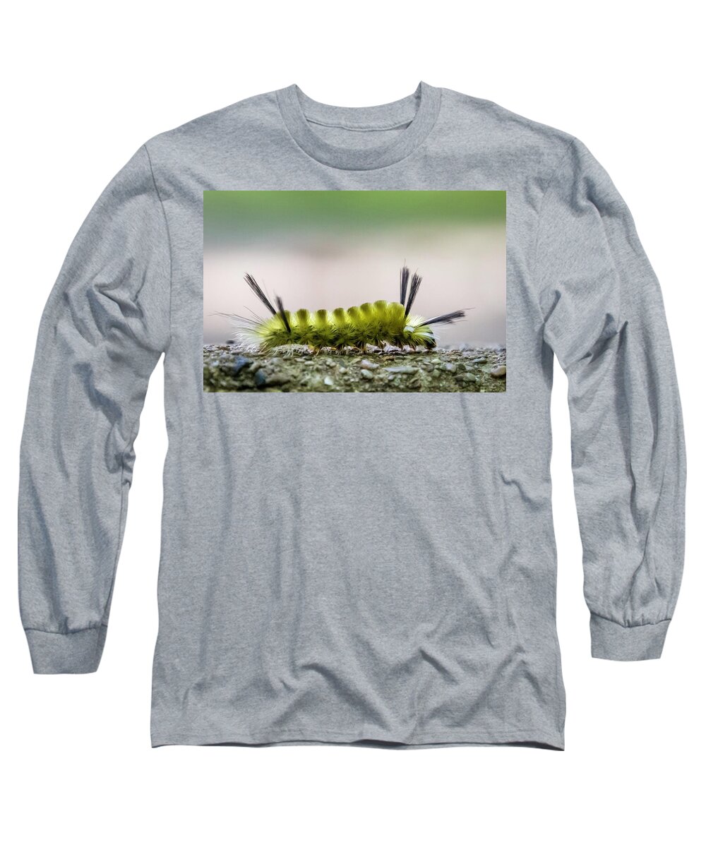 Caterpillar Long Sleeve T-Shirt featuring the photograph Underfoot by Terri Hart-Ellis