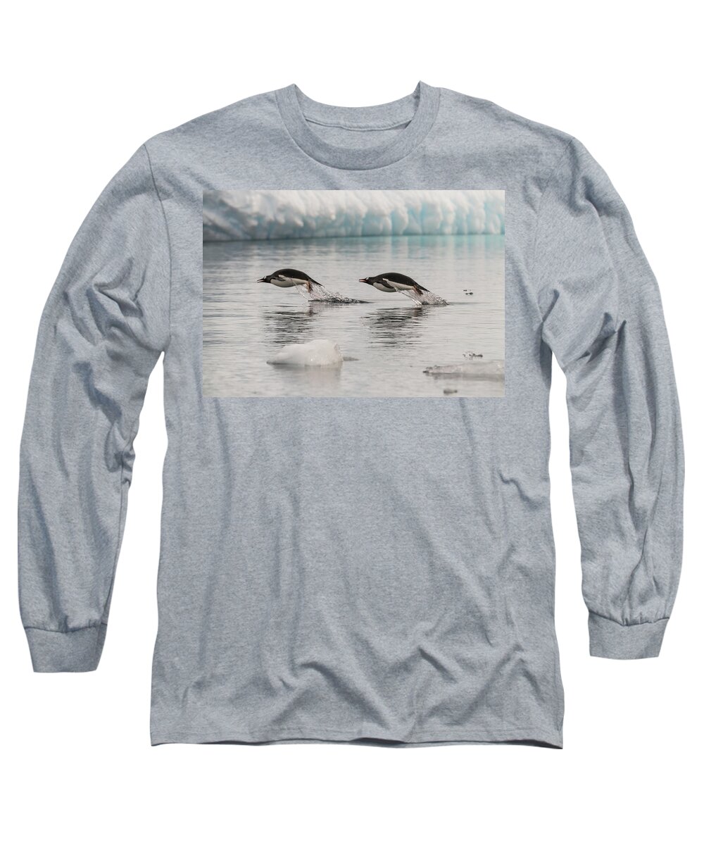 Penguins Long Sleeve T-Shirt featuring the photograph When Penguins Fly by Alex Lapidus