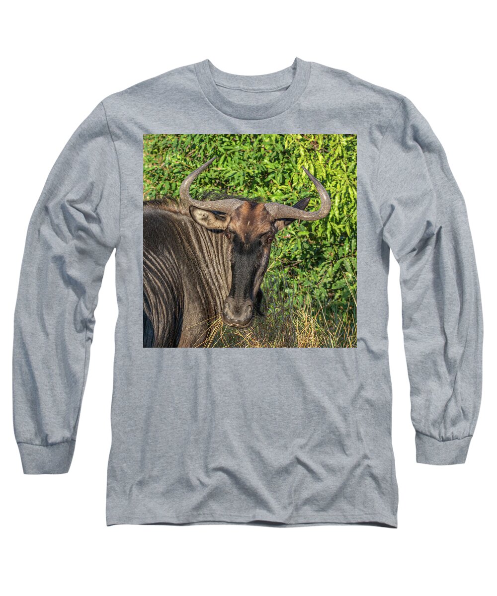 Wildebeest Long Sleeve T-Shirt featuring the photograph Whimsical Wildebeest by Douglas Wielfaert