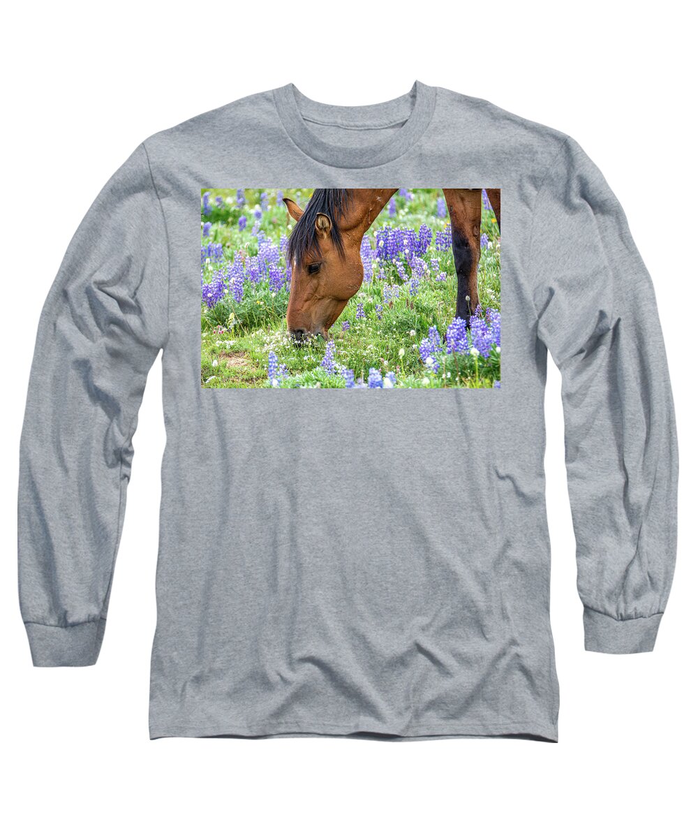 Pryor Mountain Long Sleeve T-Shirt featuring the photograph Wild Mustang Summer Pasture by Douglas Wielfaert