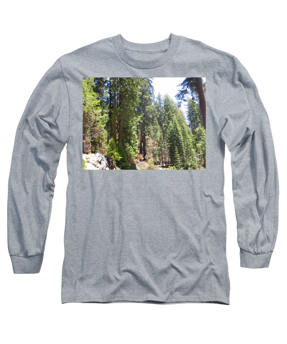 Yosemite Long Sleeve T-Shirt featuring the photograph Yosemite National Park Mariposa Grove Tall Twin Trees by John Shiron