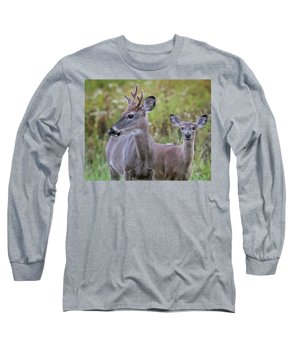 White Tail Deer Long Sleeve T-Shirt featuring the photograph Young Buck and friend by Jaki Miller
