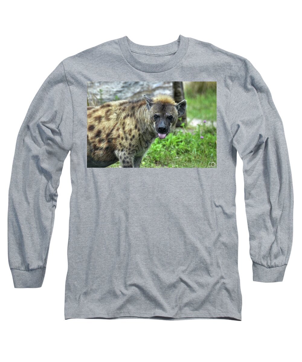 Buffalo Ny Long Sleeve T-Shirt featuring the photograph 002 Hyena2 by Michael Frank Jr