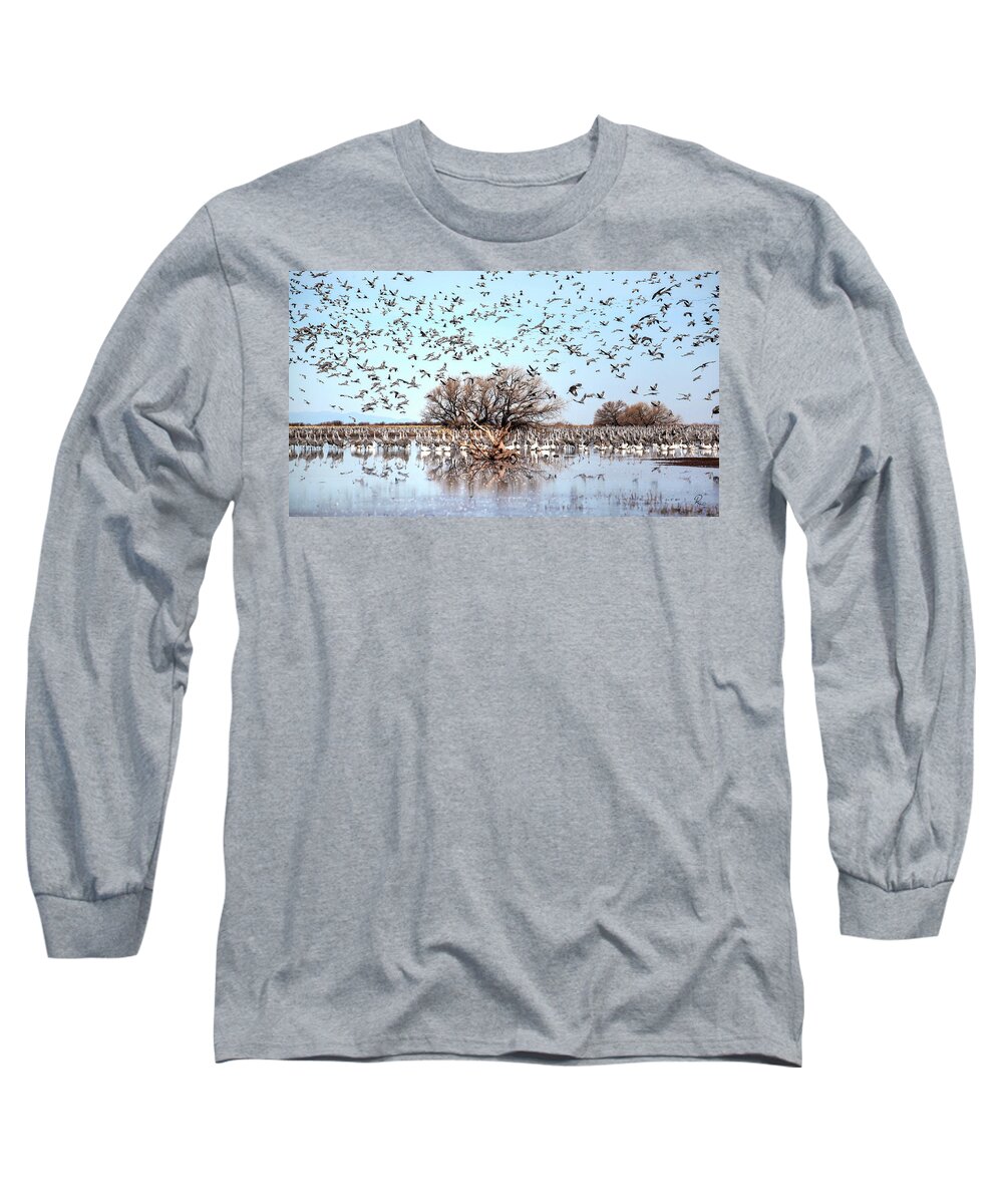 Wildlife Long Sleeve T-Shirt featuring the photograph Arrival by Robert Harris