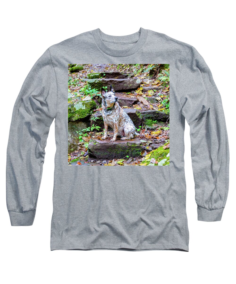 Jefferson National Forest Long Sleeve T-Shirt featuring the photograph Copper #1 by Donna Twiford
