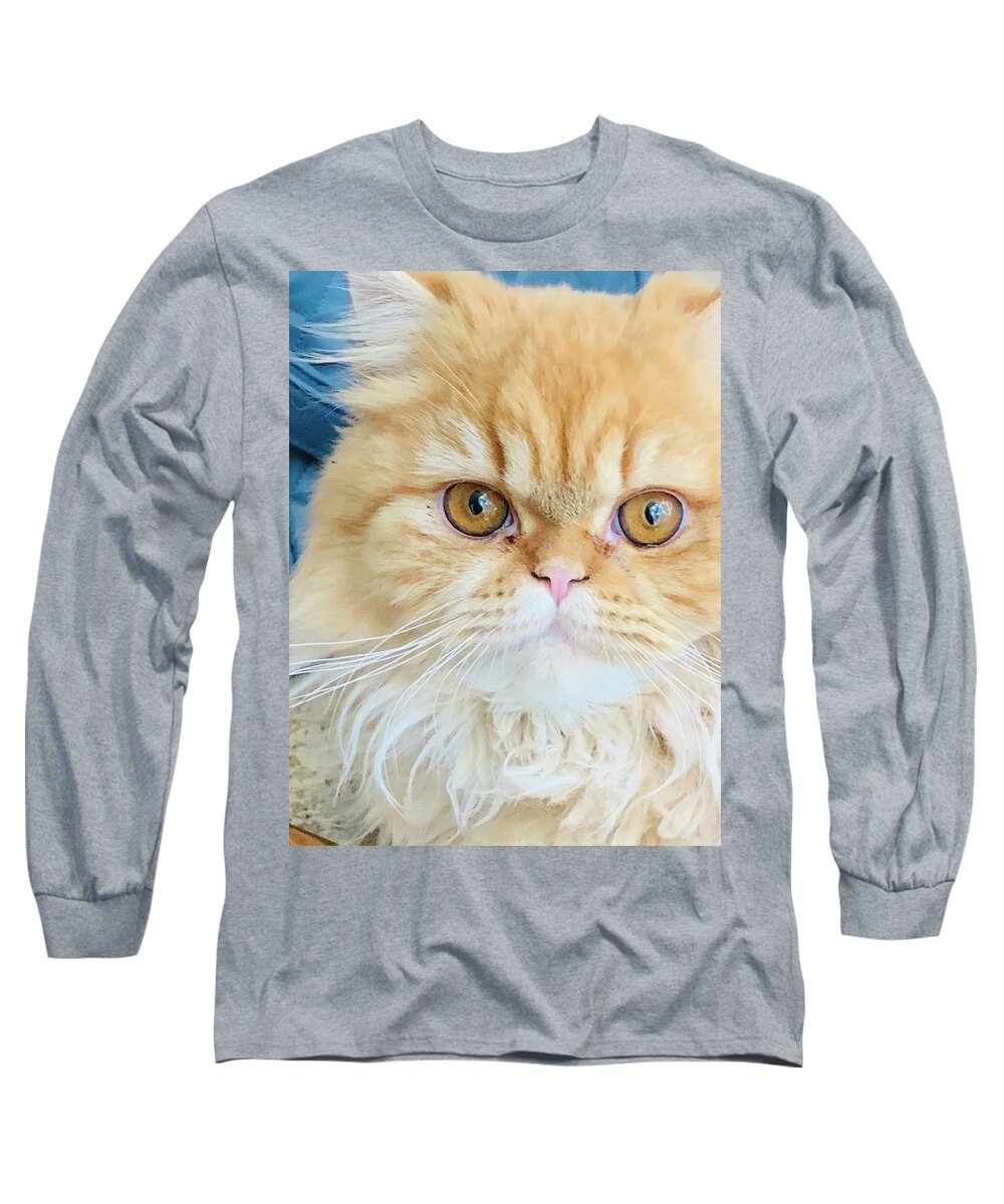Kitten Long Sleeve T-Shirt featuring the photograph Tawny #1 by Juliette Becker