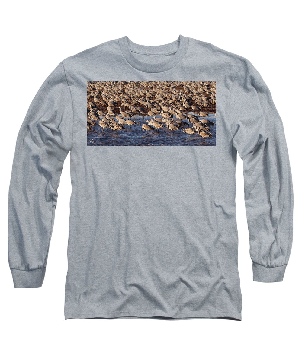 Arizona Long Sleeve T-Shirt featuring the photograph Whitewater Draw 1870 #1 by Robert Harris