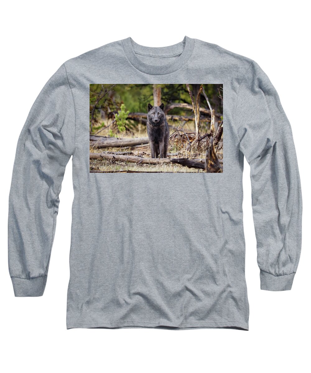  Long Sleeve T-Shirt featuring the photograph 1234m by Julie Argyle