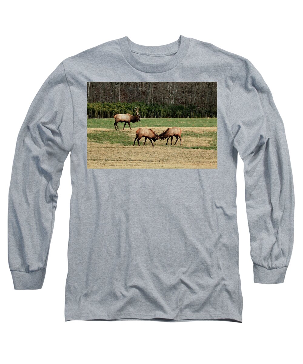 Elk Long Sleeve T-Shirt featuring the photograph 3 Elk by William Rainey