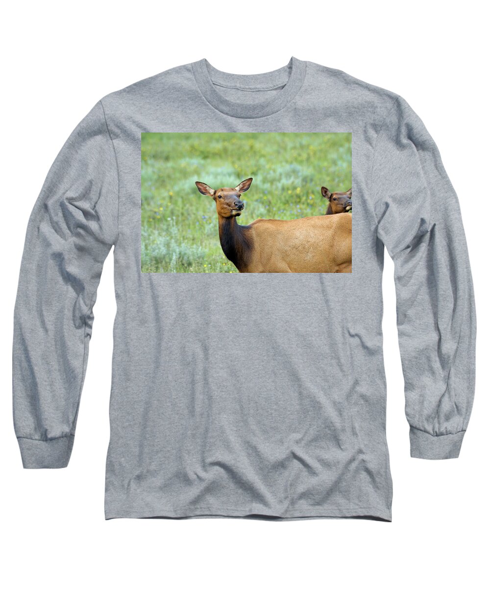 Co Long Sleeve T-Shirt featuring the photograph Rocky Mountain National Park #4 by Doug Wittrock