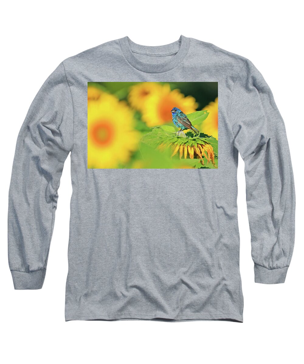 Indigo Bunting Long Sleeve T-Shirt featuring the photograph An Indigo Bunting Perched on a Sunflower #4 by Shixing Wen