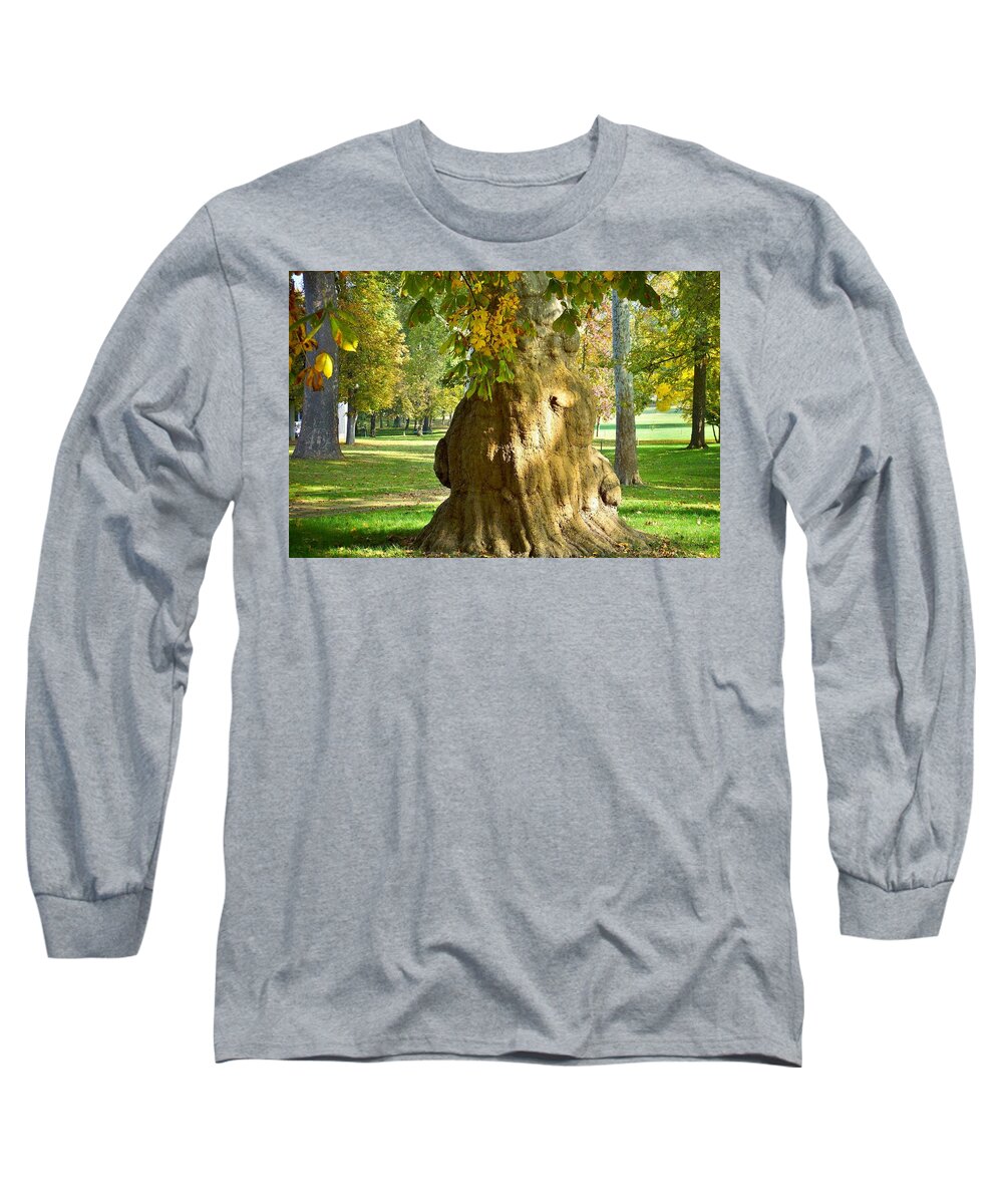 Trees Long Sleeve T-Shirt featuring the photograph Parco Cavour. Ottobre 2016 #1 by Marco Cattaruzzi