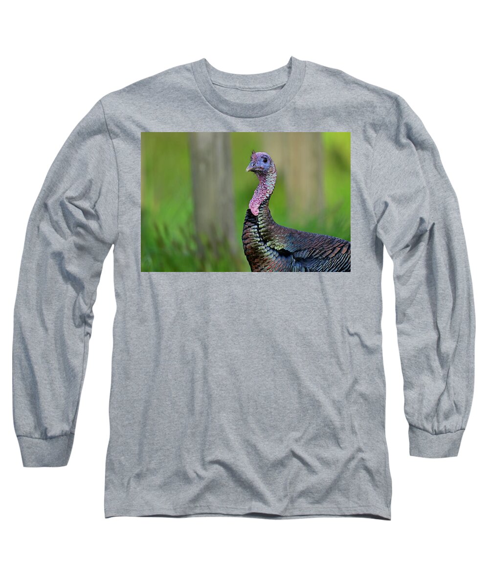 Wild Turkey Long Sleeve T-Shirt featuring the photograph A Cute Turkey by Amazing Action Photo Video