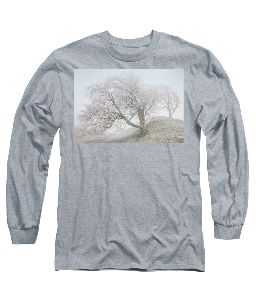 Winter Long Sleeve T-Shirt featuring the photograph A pair of windswept, frost laced trees in winter by Anita Nicholson