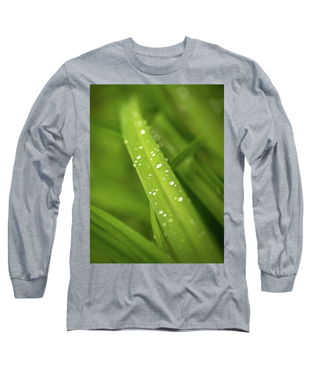 Mombretia Long Sleeve T-Shirt featuring the photograph After the rain by Average Images