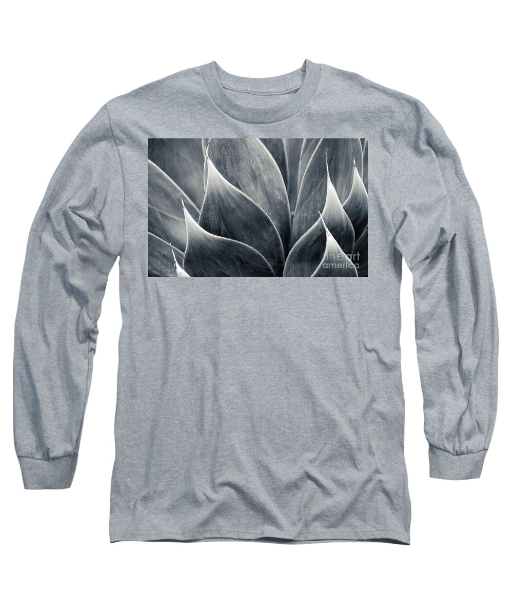 Agave Long Sleeve T-Shirt featuring the photograph Agave by Jennifer Magallon