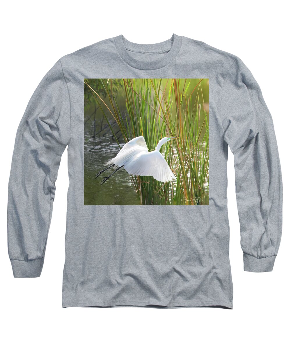 Susan Molnar Long Sleeve T-Shirt featuring the photograph Angel In The Marsh by Susan Molnar