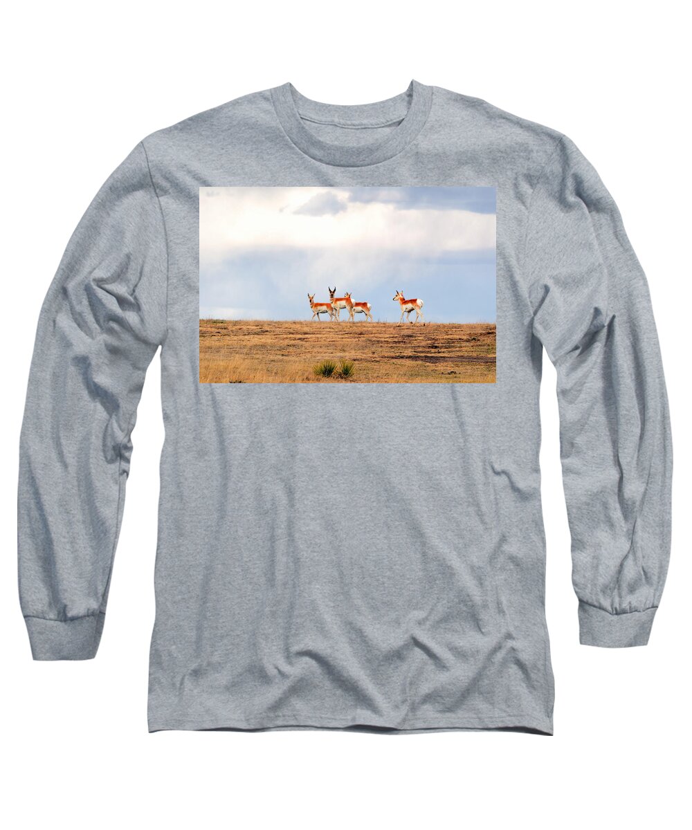 Pronghorn Antelope Long Sleeve T-Shirt featuring the photograph Antelope On The Hill by Clarice Lakota