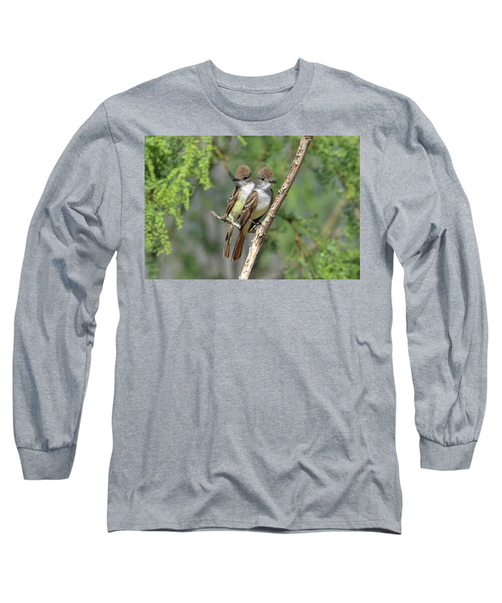 Birds Long Sleeve T-Shirt featuring the photograph Ash-throated Flycatchers by Steve Wolfe