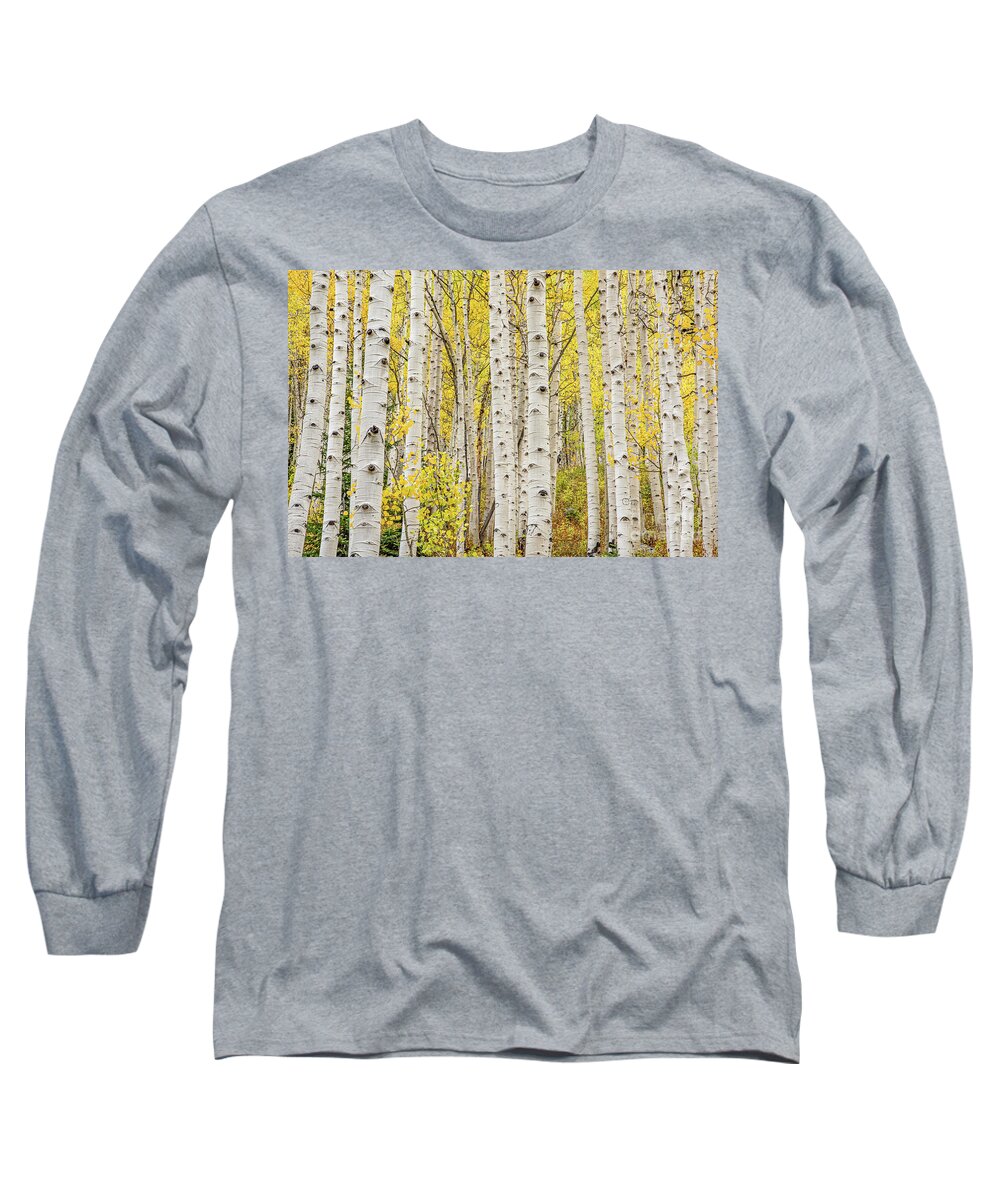 Aspen Long Sleeve T-Shirt featuring the photograph Aspen Gold by Melissa Lipton