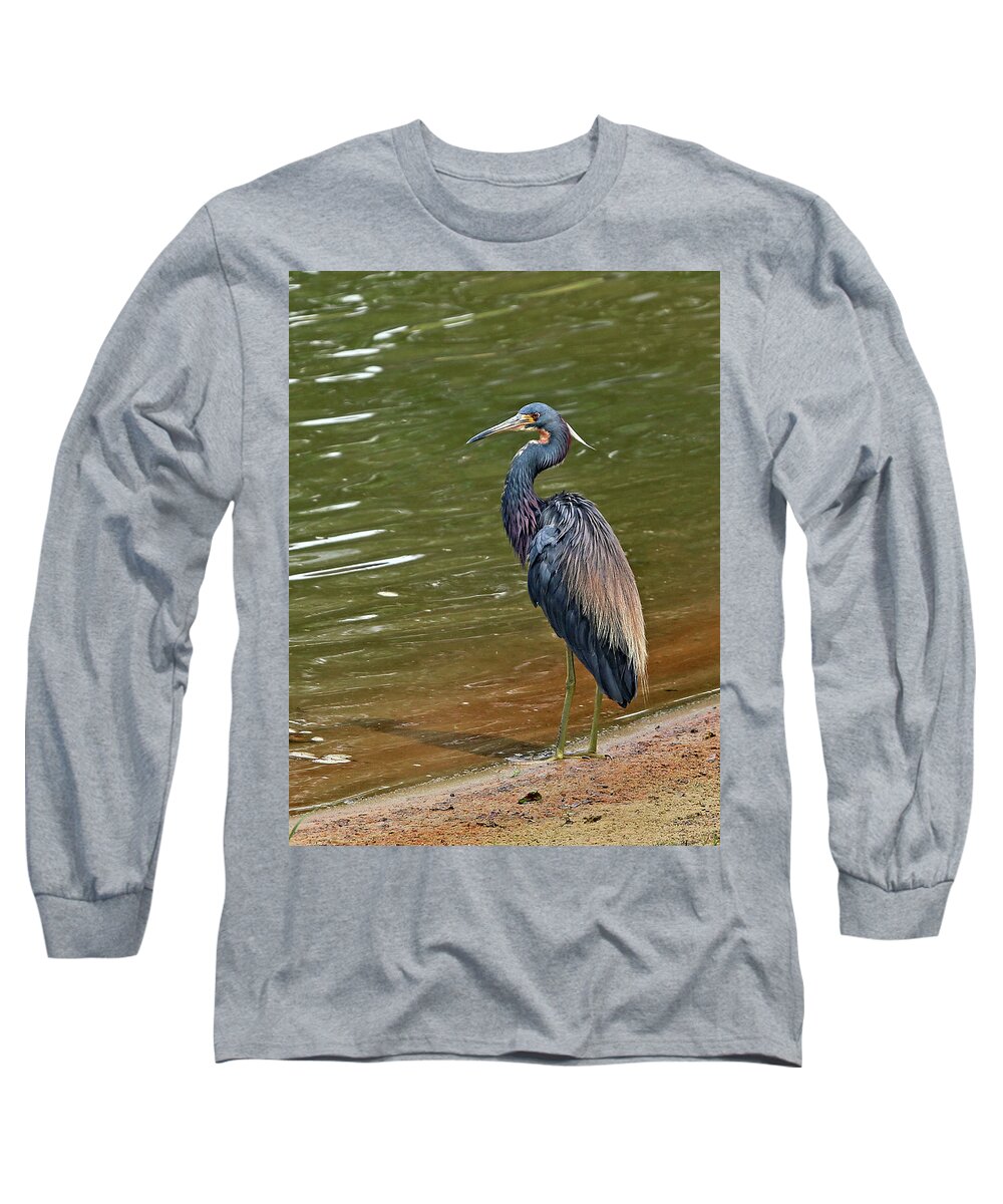 Wildlife Long Sleeve T-Shirt featuring the photograph At Water's Edge by Gina Fitzhugh