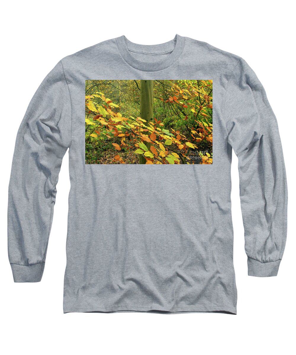 Autumn Colours Long Sleeve T-Shirt featuring the photograph Autumn colours, Alkington Woods 2020 by Pics By Tony