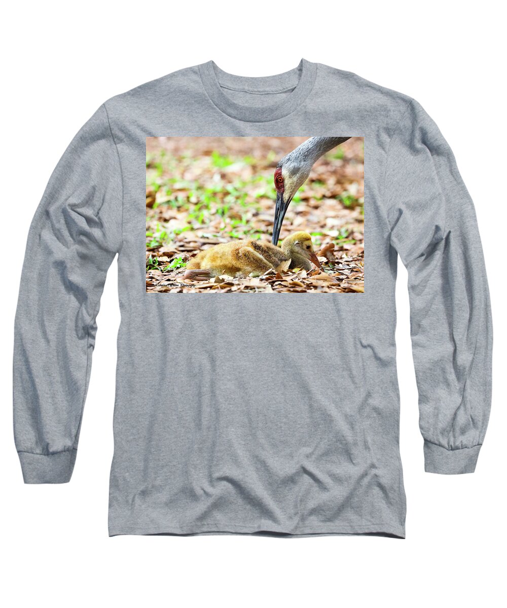 Baby Long Sleeve T-Shirt featuring the photograph Baby and Mama Sandhill Crane by Tahmina Watson