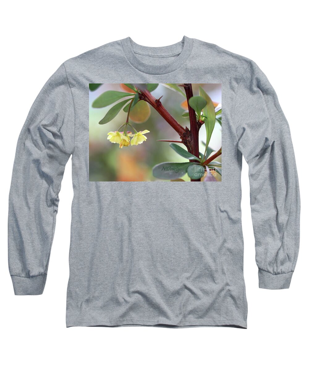 Barberry Blossom Long Sleeve T-Shirt featuring the photograph Barberry Blossom by Natalie Dowty