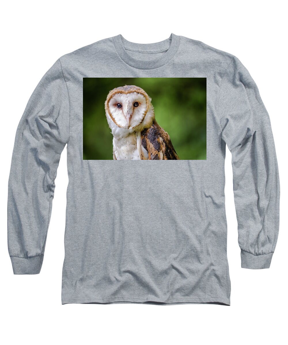 Raptors Owl Hawk Long Sleeve T-Shirt featuring the photograph Barn owl eyes by Robert Miller