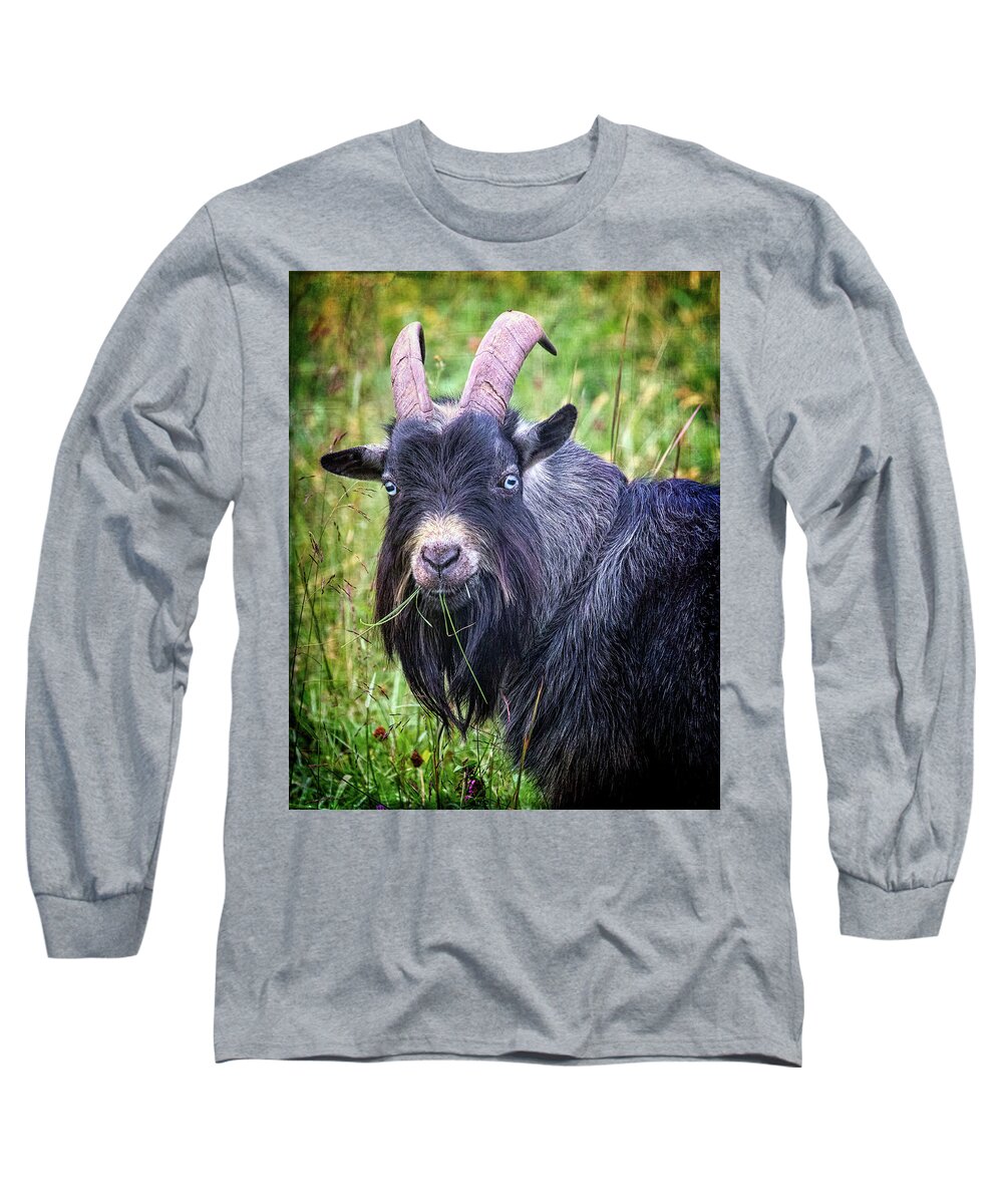 Billy Goat Long Sleeve T-Shirt featuring the photograph Billy Goat Gruff by Jaki Miller