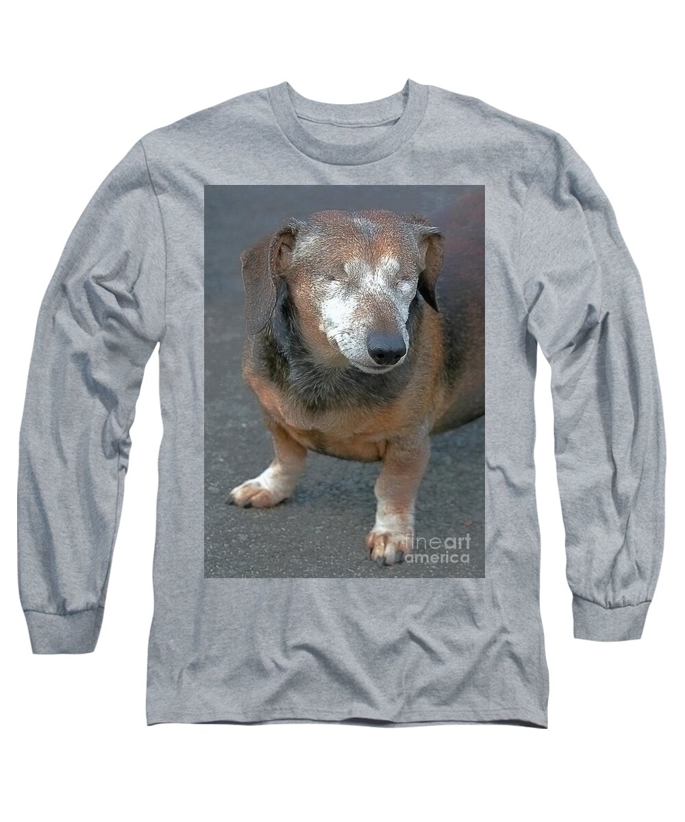 Dog Long Sleeve T-Shirt featuring the photograph Blind Dog Can See Into Your Soul by Lori Lafargue