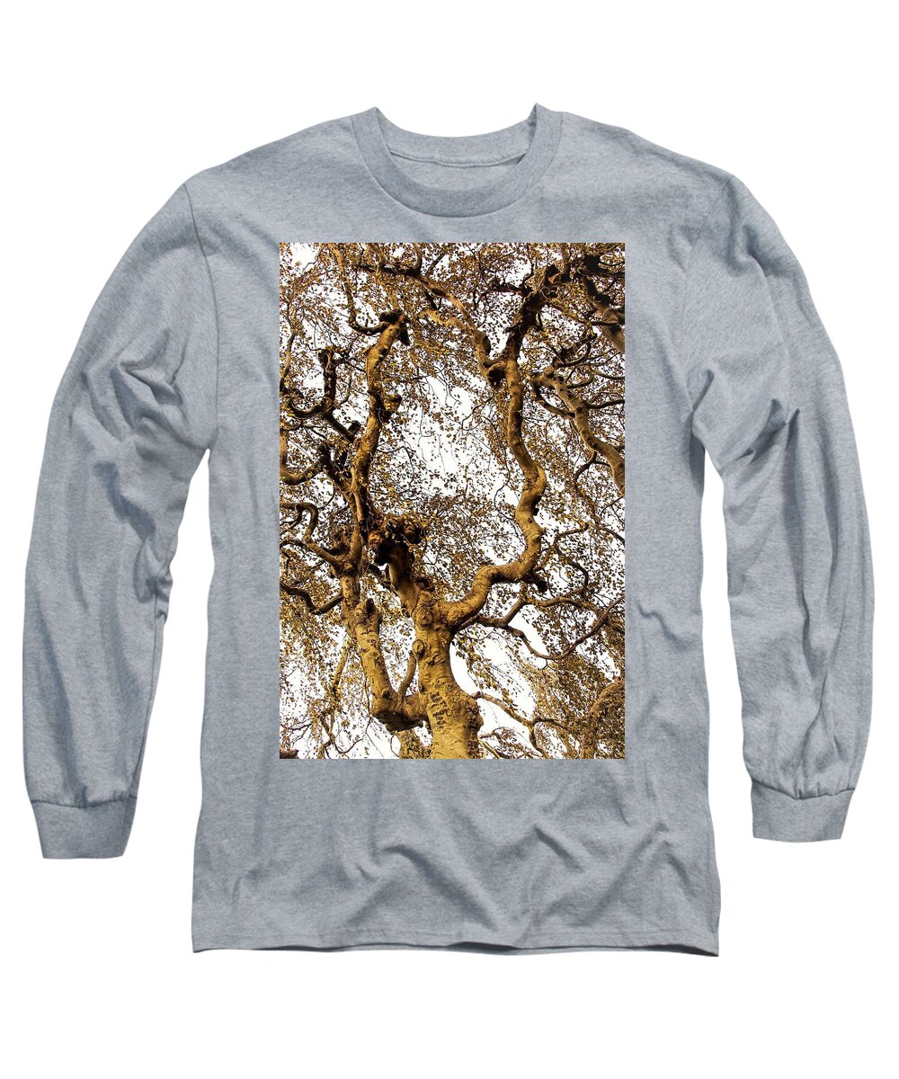 Tree Branch Sky Leaves Long Sleeve T-Shirt featuring the photograph Branch Sky by John Linnemeyer