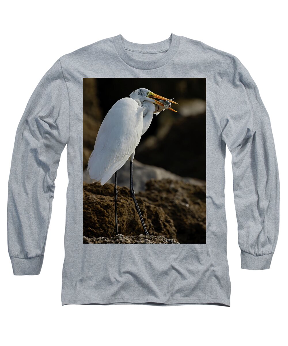 Great Egret Long Sleeve T-Shirt featuring the photograph Breakfast on the rocks by RD Allen