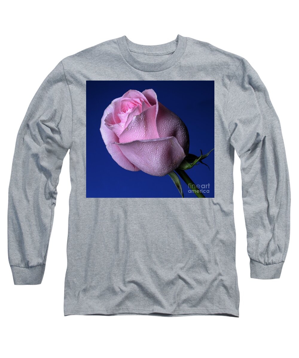 Rose Long Sleeve T-Shirt featuring the photograph Bubbly by Doug Norkum