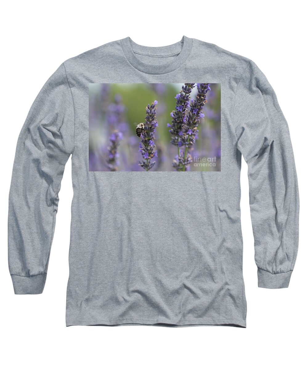 Bee Long Sleeve T-Shirt featuring the photograph Bumblebee on Lavender I by Lorraine Cosgrove