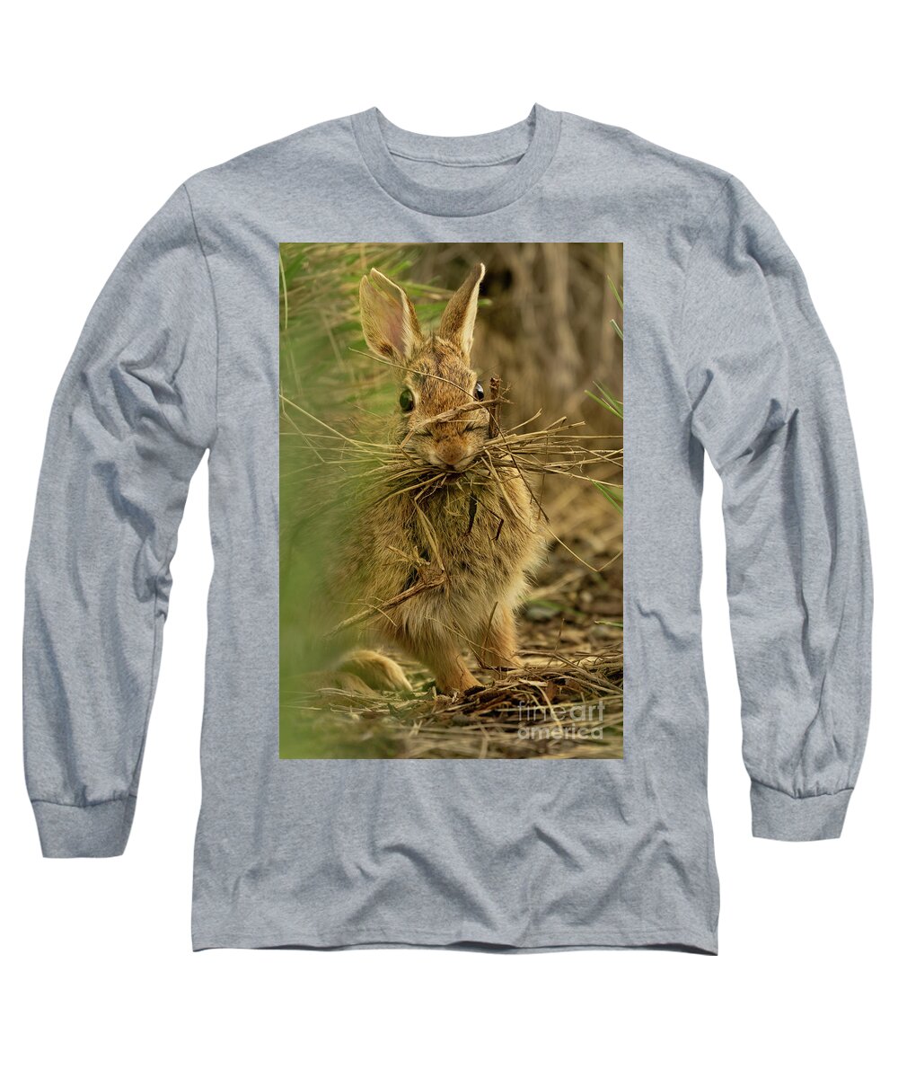 Eastern Cottontail Rabbit Long Sleeve T-Shirt featuring the photograph Bunny with Her Sticks by Nancy Gleason