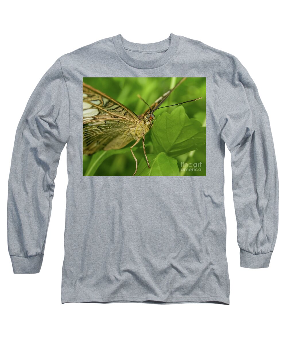 Butterfly Long Sleeve T-Shirt featuring the photograph Butterfly 2 by Olga Hamilton