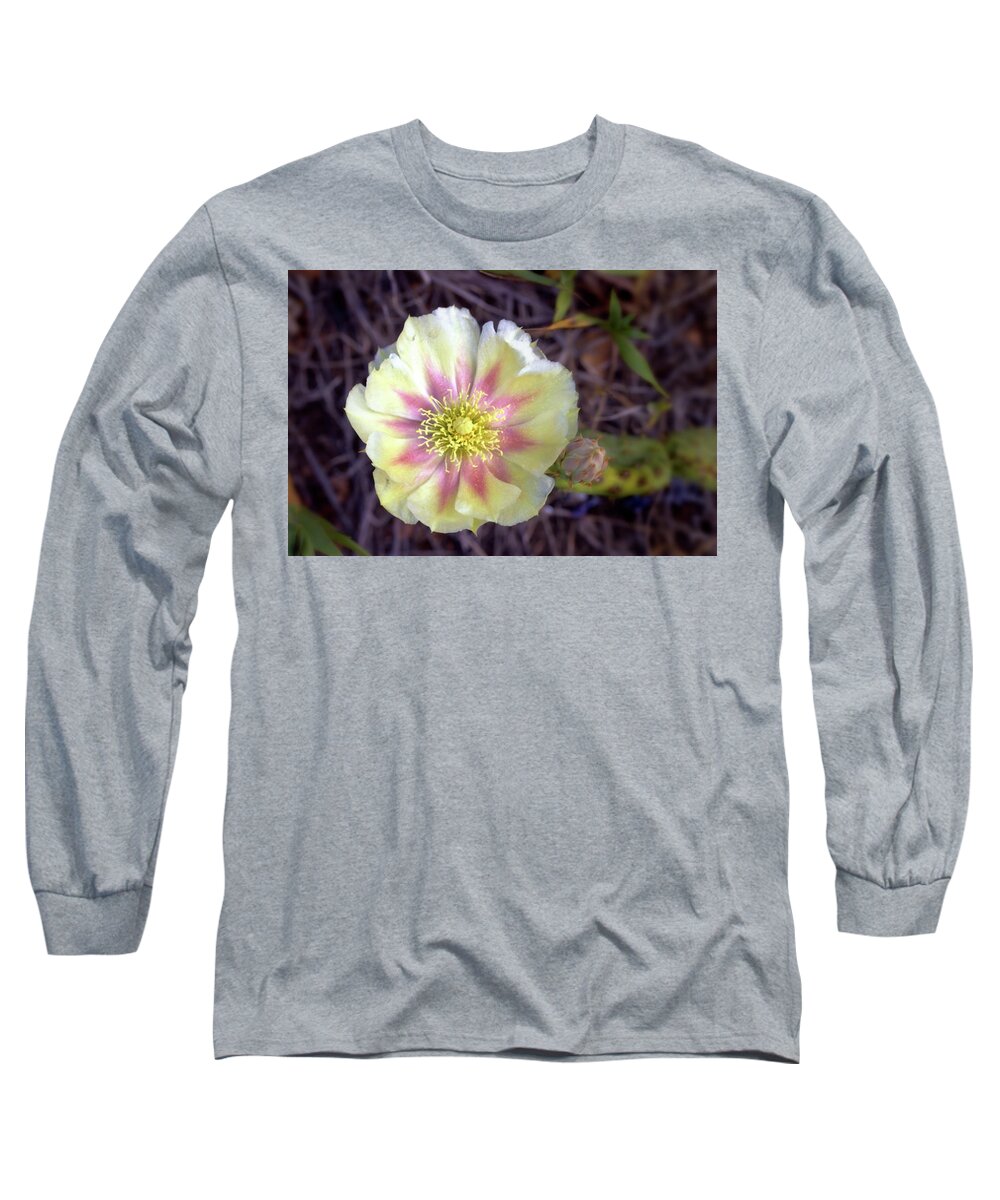 Cactus Long Sleeve T-Shirt featuring the photograph Cactus Blossom by Bob Falcone