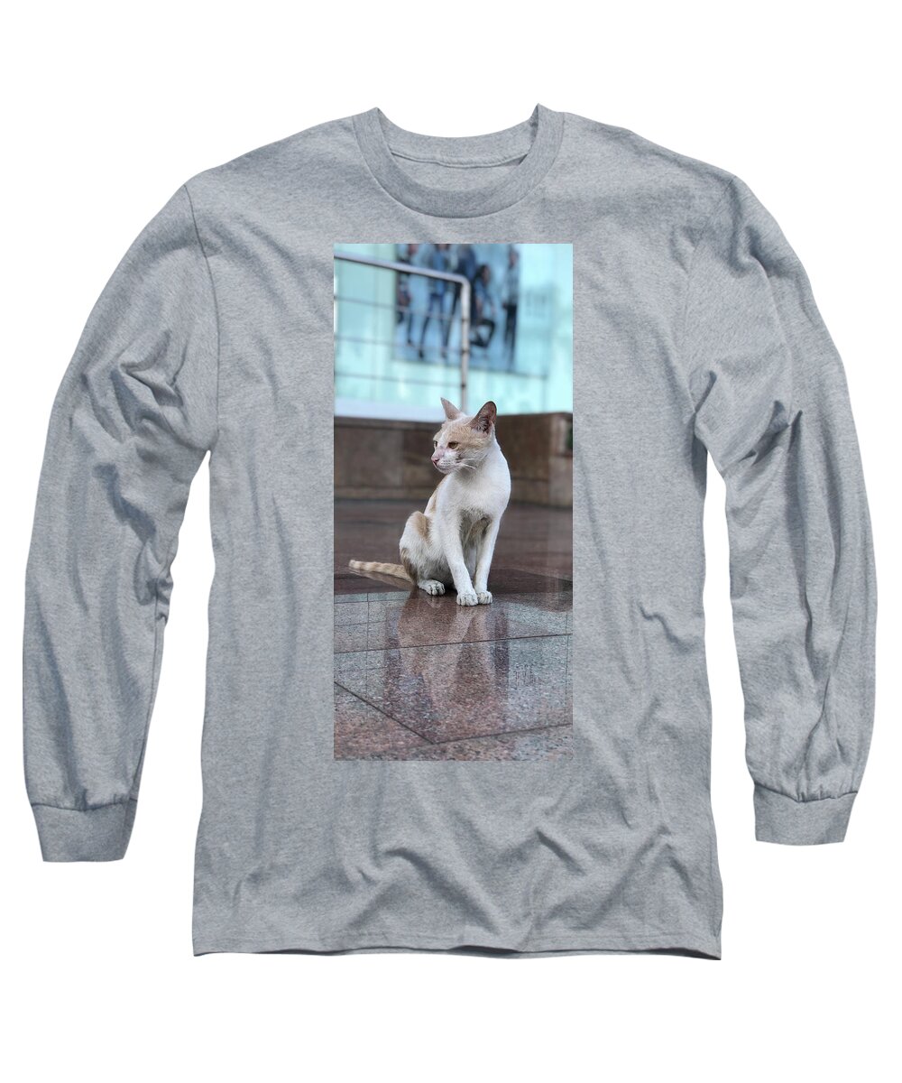 Wallpaper Long Sleeve T-Shirt featuring the photograph Cat Sitting On Marble Floor by Prashant Dalal