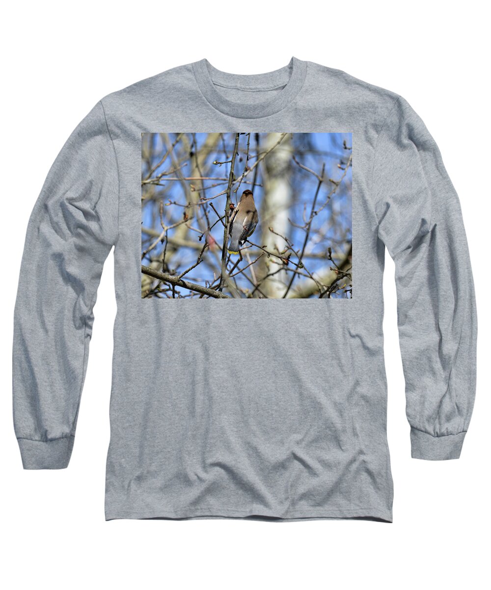 Long Sleeve T-Shirt featuring the photograph Cedar Waxwing 5 by David Armstrong